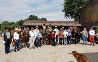 Herzlichen Glückwunsch zur bestandenen Kutschenprüfung